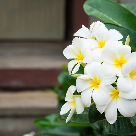 Weekender Bungalow Παραλία Λαμάι Εξωτερικό φωτογραφία